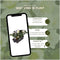 Plants by Frank | Set van 12 kerstroos planten | 12x Helleborus niger 'Christmas Carol' | 7 cm Ø | 15-20 cm | Winterharde kerstroos planten | Tuinplanten | Herfstplanten