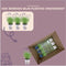 Plants by Frank - Set van 3 echte lavendelplanten in sierpot 'Deluxe' - 3 x Lavandula Angustifolia Felice ® 13 cm pot - Winterharde lavendelplant - Vers van de kwekerij Geleverd