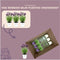 Plants by Frank - Set van 3 Franse lavendelplanten in sierpot 'Old Look' - 3 x Lavandula stoechas Anouk® 13 cm pot - Lavendelplant - Vers van de kwekerij Geleverd