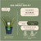 Plants by Frank | Set van 3 kalmoes planten wit/groen | XL Acorus gramineus 'Argenteostriatus' | Siergrassen winterhard | vaste plant | Tuinplanten | Winterharde tuinplanten