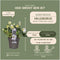 Plants by Frank | Set van 6 kerstroos planten | 6x Helleborus niger 'Christmas Carol' | 12 cm Ø | 20 cm | Winterharde kerstroos planten | Tuinplanten | Herfstplanten