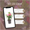 Plants by Frank - Set van 6 Mandevilla mix planten - 2 x Dipladenia wit & 2 x rood & 2 x roze in 12 cm pot - Mediterrane planten - Vers geleverd van de kwekerij - Klimplanten