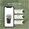 Plants by Frank | set van 6 Zilverstruik planten | 6x Calocephalus | 10 cm Ø | 15-20 cm hoog | winterharde planten | tuinplanten | planten