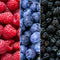 Plants by Frank |