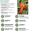 Plants by Frank |