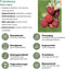Plants by Frank |