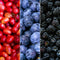 Plants by Frank |