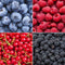 Plants by Frank |
