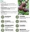 Plants by Frank |
