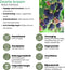 Plants by Frank |
