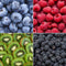 Plants by Frank |