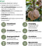 Plants by Frank |