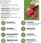 Plants by Frank |