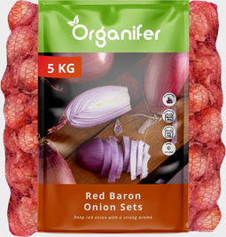 Plantuien Red Baron 14/21 - 5 Kg - Voor Dieprode Schil En Smaak - Nak-Gecertificeerd - Vroege Teelt - Platronde Vorm - Plantgoed - Bestand Tegen Weersomstandigheden - Oogst In 90 Dagen - Organifer