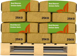 Plantuien Red Baron 14/21 - 500 Kg - Voor Dieprode Schil En Smaak - Nak-Gecertificeerd - Vroege Teelt - Platronde Vorm - Plantgoed - Bestand Tegen Weersomstandigheden - Oogst In 90 Dagen - Organifer