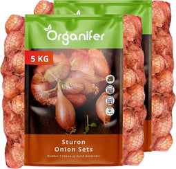 Plantuien Sturon 14/21 - 10 Kg - Ideaal Voor Vroege Oogst - Nak-Gecertificeerd - Vroege Teelt - Platronde Vorm - Plantgoed - Bestand Tegen Weersomstandigheden - Oogst In 90 Dagen - Organifer