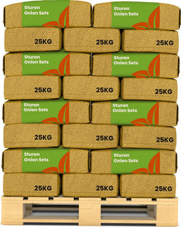 Plantuien Sturon 14/21 - 1000 Kg - Ideaal Voor Vroege Oogst - Nak-Gecertificeerd - Vroege Teelt - Platronde Vorm - Plantgoed - Bestand Tegen Weersomstandigheden - Oogst In 90 Dagen - Organifer