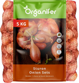 Plantuien Sturon 14/21 - 5 Kg - Ideaal Voor Vroege Oogst - Nak-Gecertificeerd - Vroege Teelt - Platronde Vorm - Plantgoed - Bestand Tegen Weersomstandigheden - Oogst In 90 Dagen - Organifer