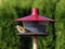 Plastia Vogelvoederhuis Finch Groen