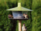 Plastia Vogelvoederhuis Finch Groen