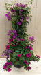 Plastic plantenbak antraciet Bougainvillea roze met zomerbloeiers r...