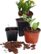 Plastic stekpotjes H6x7x7cm set a 20 stuks