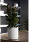 PLASTIKEN Bloempot met waterreserve Hidrojardinera - Ø48 cm - Antracietgrijs