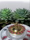 Play 4 Drink, AS-0096, casino shot glaasjes - casinoglas - shotglas