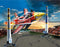 PLAYMOBIL Air Stuntshow jet