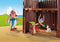 PLAYMOBIL Asterix: Romeins kamp - 71542