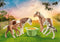 PLAYMOBIL Country 2 IJslandse pony's met veulens - 71000