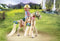 PLAYMOBIL Horses of Waterfall Ellie met paard - 71639