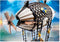 PLAYMOBIL Novelmore Dario's Zeppelin - 70642