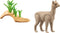 PLAYMOBIL Wiltopia Alpaca - 71062