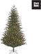 Black Box Trees Frasier Kunstkerstboom met LED verlichting - H230 cm - groen