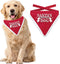 Plenty Gifts Kerst Bandana Santa's Favourite Dog 22 x 25 cm