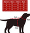Plenty Gifts Kerst Jurk - Hondenjas - Poot - Rood - L