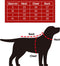 Plenty Gifts Kerst Jurk - Hondenjurk - Santa's Favorite Dog - S
