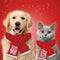 Plenty gifts kerst sjaal santa's favorite dog rood