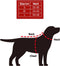 Plenty Gifts Kerst Stropdas - HondenstropdasFavorite Dog - M