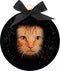 Plenty Gifts Kerstbal Frost Rode Kat Ogen 10CM