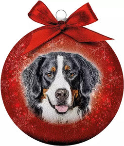 Plenty Gifts Kerstbal - Frosted Berner Sennen - 10 cm