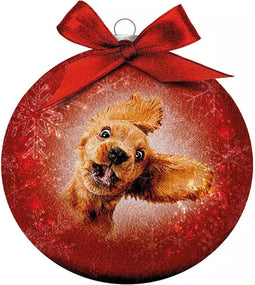 Plenty Gifts Kerstbal Frosted Gekke Hond 10CM