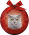 Plenty Gifts Kerstbal Frosted Grijze Kat 10CM