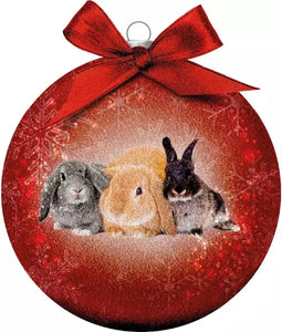 Plenty Gifts Kerstbal Frosted Konijnen Rood 10CM