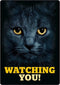 Plenty gifts waakbord blik zwarte kat watching you