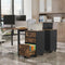 Woltu Mobiele Archiefkast - Rolcontainer 3 Laden 5 Wielen - Industrieel Donker Eiken/Zwart - 40 x 40 x 70 cm