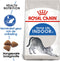 Royal Canin Indoor - Kattenvoer Brokjes - 400 g