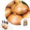Plant in a Box - Onions Stuttgarter Riesen - 1 Kilo Uien - Voor 1m2 - Planten in het voorjaar