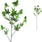 PTMD Thistle Plant Distel Kunsttak - 26 x 19 x 61 cm - Groen